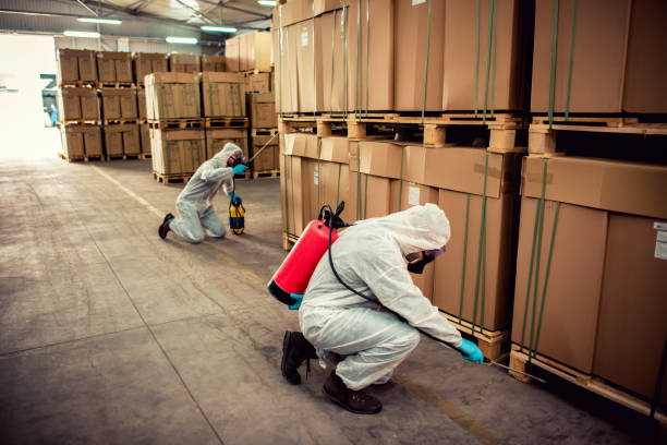 Best Ant Control Services  in Brown City, MI