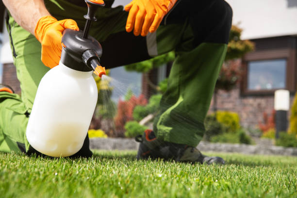 Pest Prevention Services in Brown City, MI