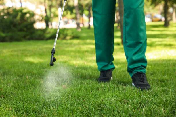 Best Emergency Pest Control  in Brown City, MI