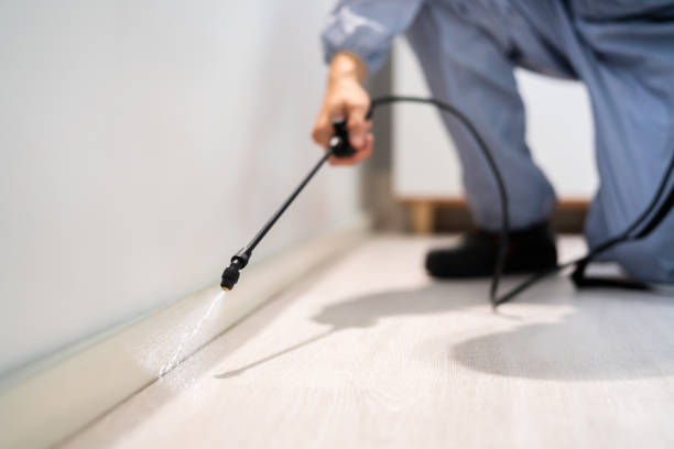 Best Best Pest Control Companies  in Brown City, MI