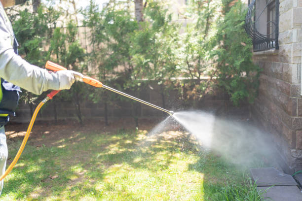 Best Wasp Removal Services  in Brown City, MI