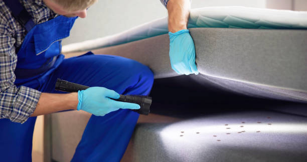 Best Pest Removal Services  in Brown City, MI