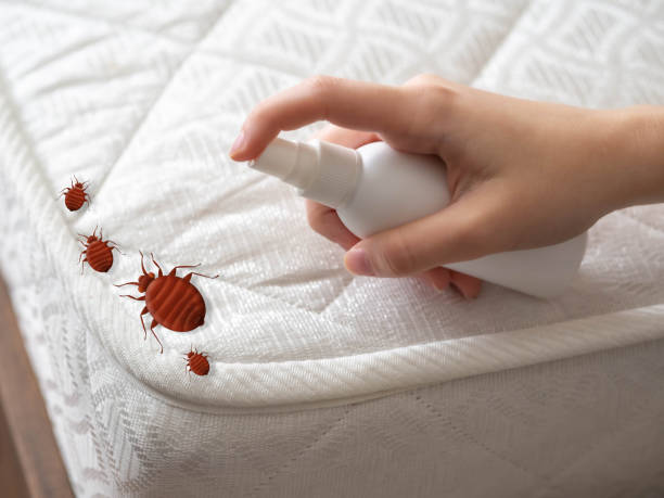 Professional Pest Control in Brown City, MI