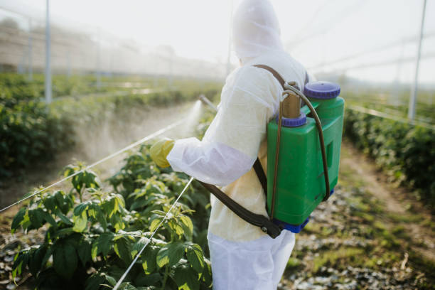 Best Ant Control Services  in Brown City, MI